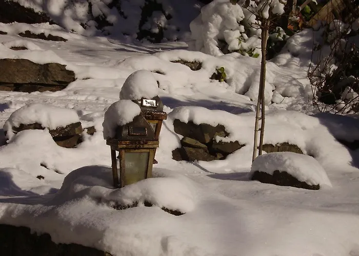 Edelweiss オエッツ