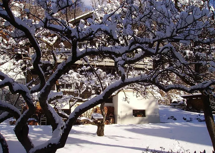 Edelweiss Appartement